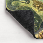  Zee schildpadden en schildpadden van Ernst Haecke Muismat (Hoek)