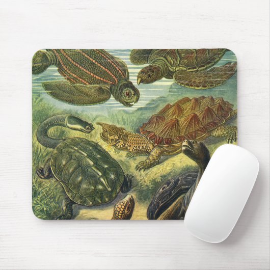  Zee schildpadden en schildpadden van Ernst Haecke Muismat (Met muis)