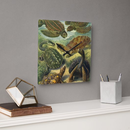  Zee schildpadden en schildpadden van Ernst Haecke Vierkante Klok (Kantoor)