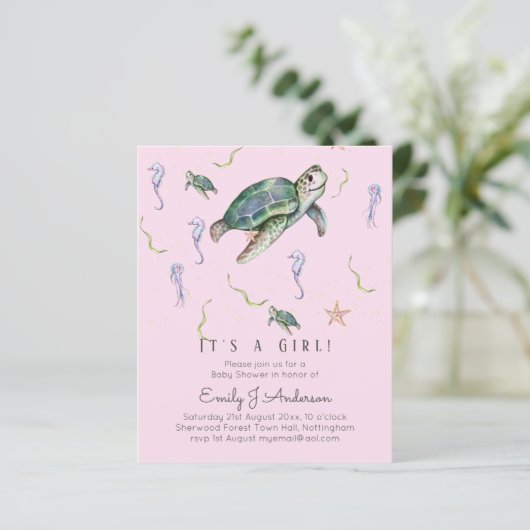 Zee Schildpadden en vrienden Baby Boy of Girl Show (Staand voorkant)