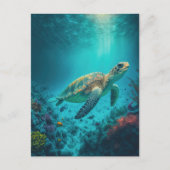 Zee Schildpadden Mariene Naturen Briefkaart (Voorkant)