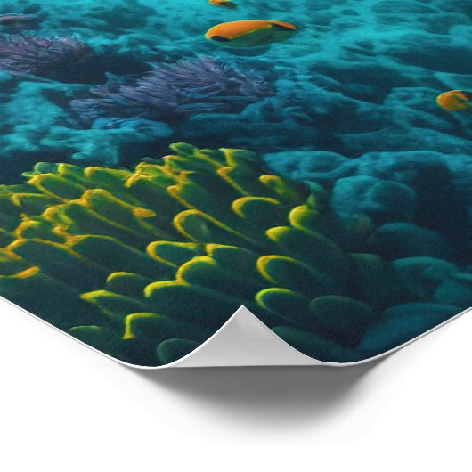 Zee Schildpadden Mariene Naturen Poster (Hoek)