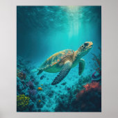 Zee Schildpadden Mariene Naturen Poster (Voorkant)