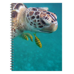 Zee schildpadden onderwater oceaanontwerp notitieboek