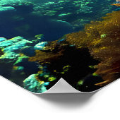 Zee schildpadden onderwater zwemmen poster (Hoek)