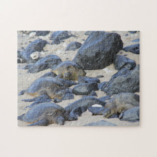 Zee schildpadden op Maui Legpuzzel