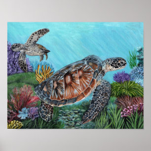 Zee Schildpadden Poster