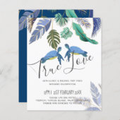 Zee Schildpadden Trouwen Blauw Geel (Voorkant / Achterkant)