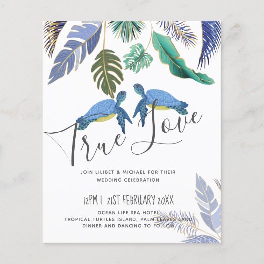 Zee Schildpadden Trouwen Blauw Geel (Voorkant)