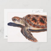 Zee Schildpadden Waterverf kunst Briefkaart (Voorkant / Achterkant)