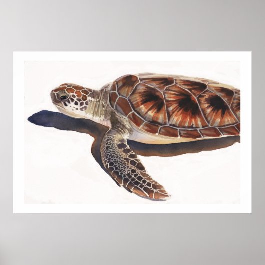 Zee Schildpadden Waterverf kunst Poster (Voorkant)