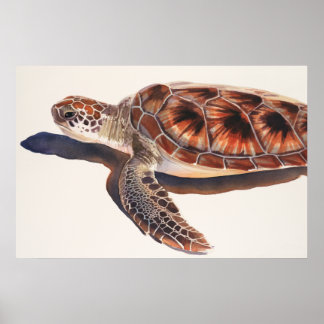 Zee Schildpadden Waterverf kunst Poster