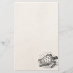 Zee Schildschildpad op maat Briefpapier