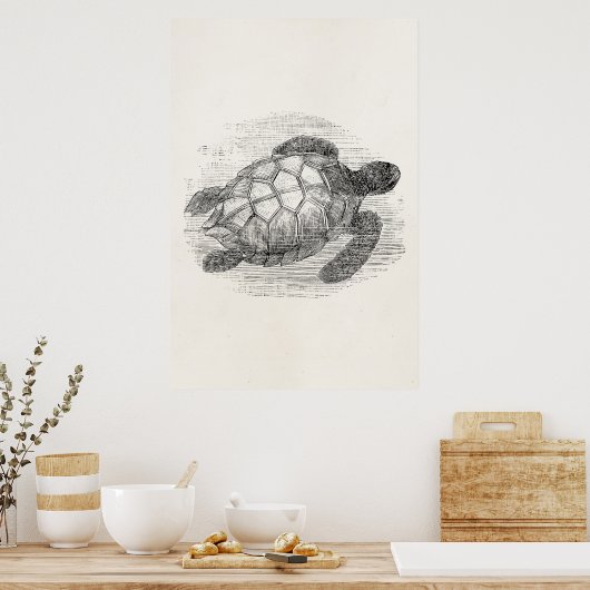  Zee Schildschildpad op maat Poster (Keuken)