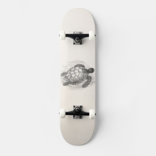 Zee Schildschildpad op maat Skateboard (Voorkant)