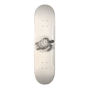 Zee Schildschildpad op maat Skateboard