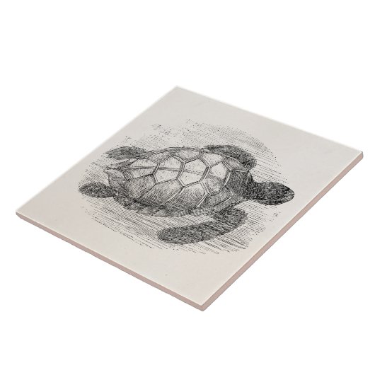 Zee Schildschildpad op maat Tegeltje (Zijkant)