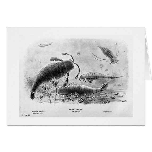 Zee-schorpioenkunstkaart (Voorkant Horizontaal)
