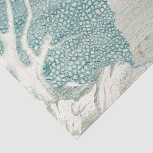 Zee Schorrelstaart Blauw-koraalhout Tissuepapier (Detail)