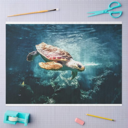 Zee schroefkokerpapier voor loskoppeling tissuepapier (Craft)