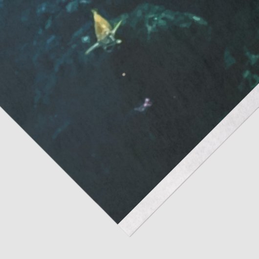 Zee schroefkokerpapier voor loskoppeling tissuepapier (Detail)