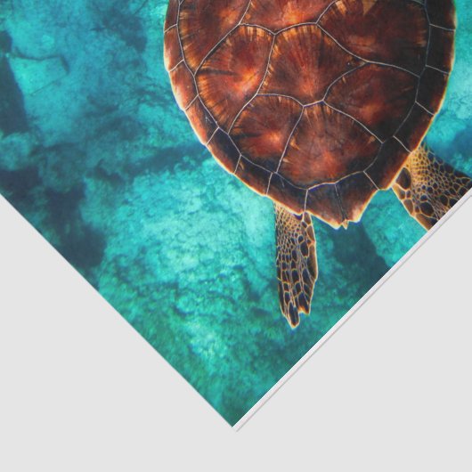 Zee Schroefschildpad loskoppeling Tissuepapier (Detail)