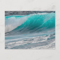 Zee Schuim Mist Coastal Destiny's Destiny