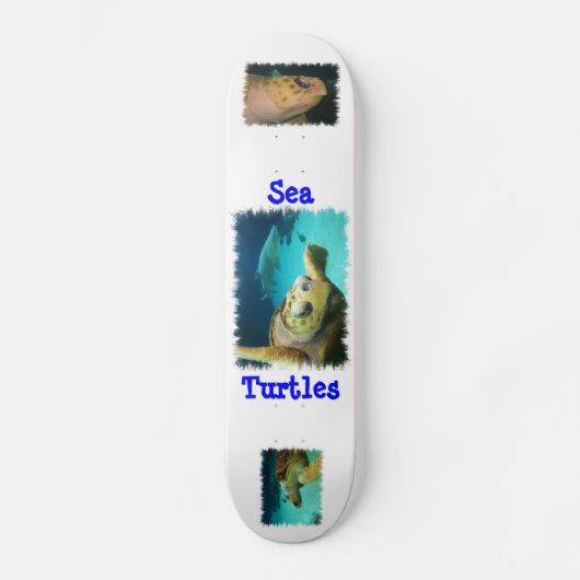 Zee Schuimbord voor schildpad Skateboard (Voorkant)