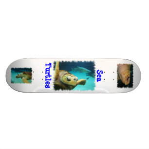 Zee Schuimbord voor schildpad Skateboard