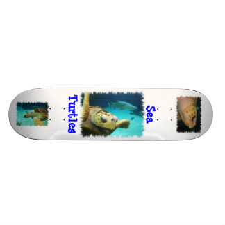 Zee Schuimbord voor schildpad Skateboard