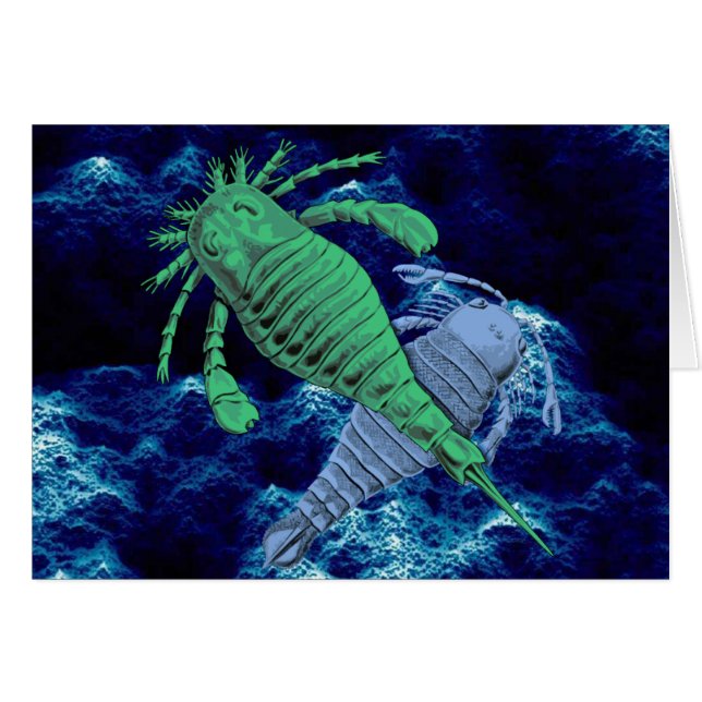 Zee Scorpions (Voorkant Horizontaal)