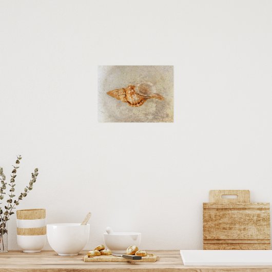 Zee Shell  Antiek Ocean Beach Textuur Poster (Keuken)
