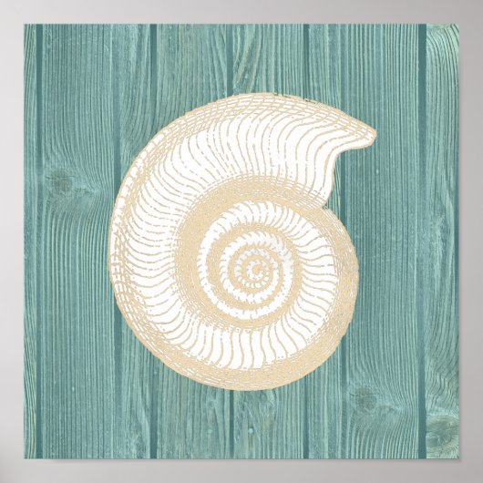 Zee Shell Aqua Wood Beach Poster (Voorkant)