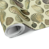 zee shell art cadeaupapier (Rol Hoek)