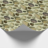 zee shell art cadeaupapier (Hoek)