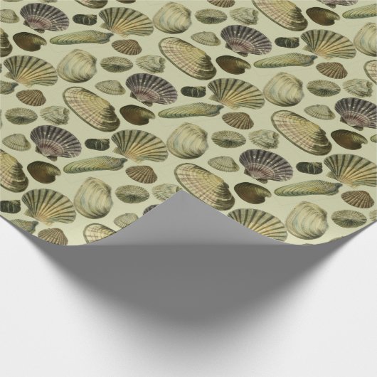 zee shell art cadeaupapier (Hoek)