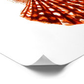 Zee Shell Art Print no.9 Beach Home Decor (Hoek)