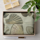  zee shell art tissuepapier (Geschenk)