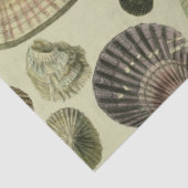  zee shell art tissuepapier (Detail)