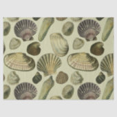  zee shell art tissuepapier (Voorkant)