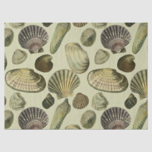 zee shell art tissuepapier