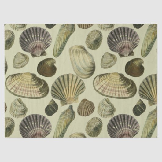  zee shell art tissuepapier (Voorkant)