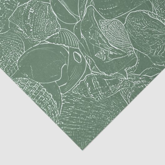 Zee Shell Beach Green White Decoupage Tissuepapier (Detail)