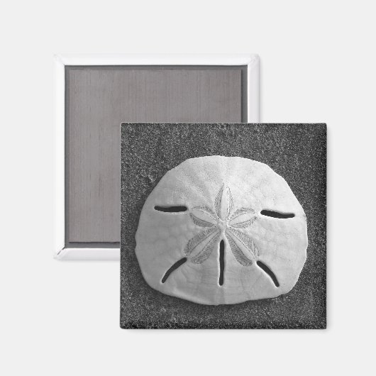 Zee Shell Beach Magnet Sand Dollar (Voorkant / Achterkant)