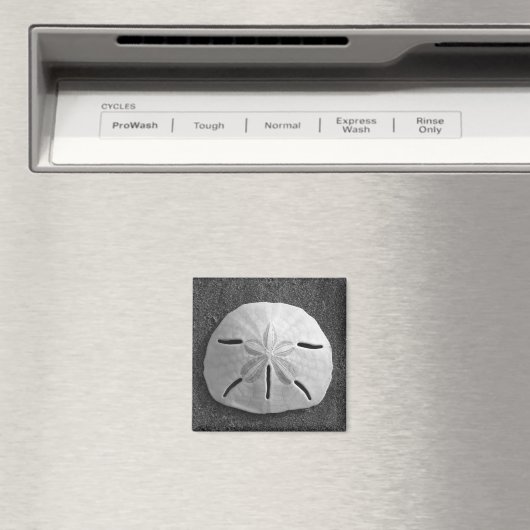 Zee Shell Beach Magnet Sand Dollar (Insitu (Vaatwasser))