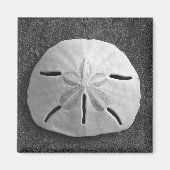 Zee Shell Beach Magnet Sand Dollar (Voorkant)