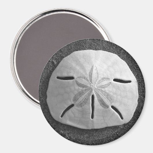 Zee Shell Beach Magnet Sand Dollar (Voorkant / Achterkant)