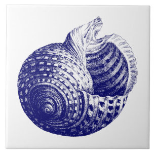 Zee shell Blauw & Wit Tegeltje