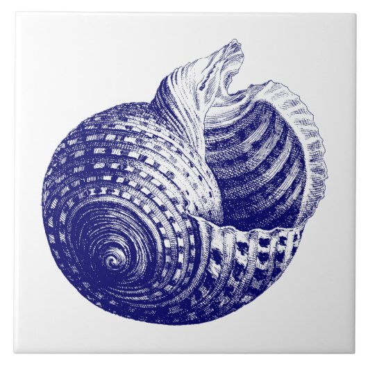 Zee shell Blauw & Wit Tegeltje (Voorkant)