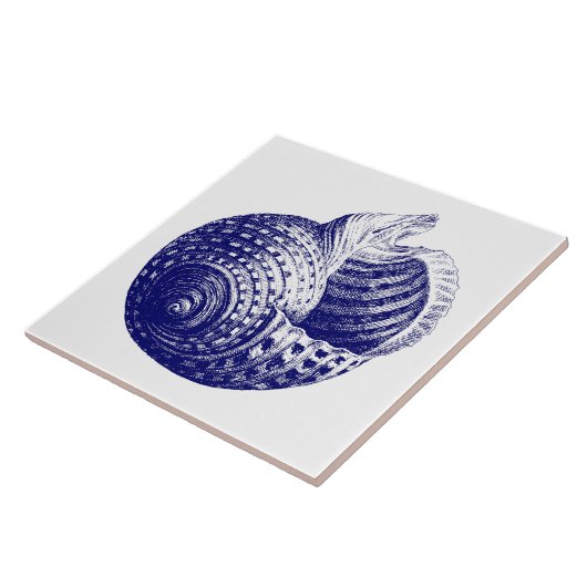 Zee shell Blauw & Wit Tegeltje (Zijkant)